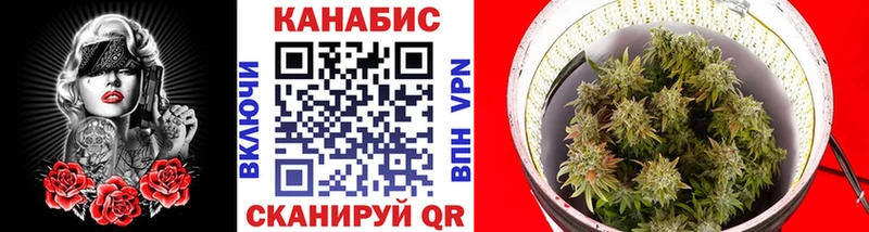 Конопля SATIVA & INDICA  Болохово 